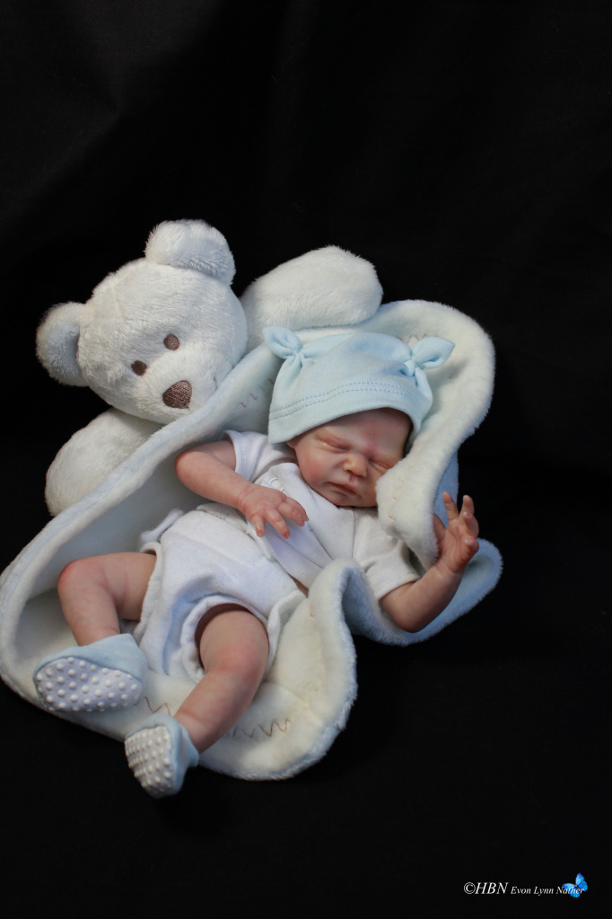 mini reborn dolls for sale